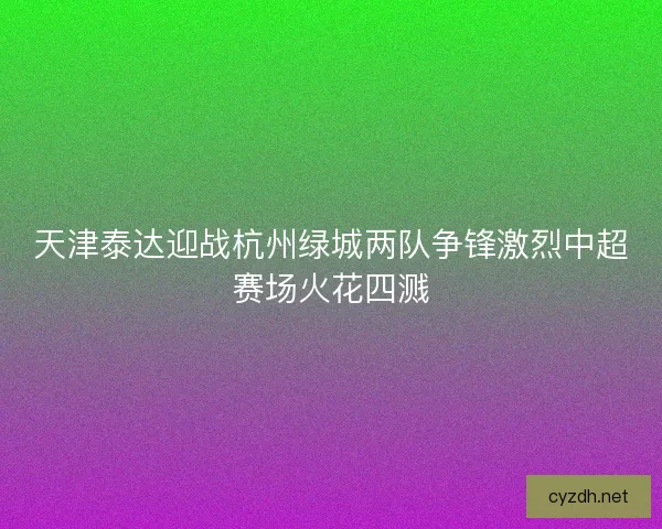 天津泰达迎战杭州绿城两队争锋激烈中超赛场火花四溅