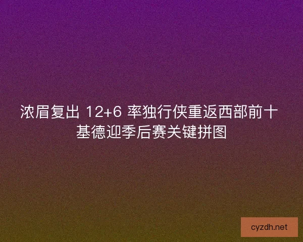 浓眉复出 12+6 率独行侠重返西部前十 基德迎季后赛关键拼图